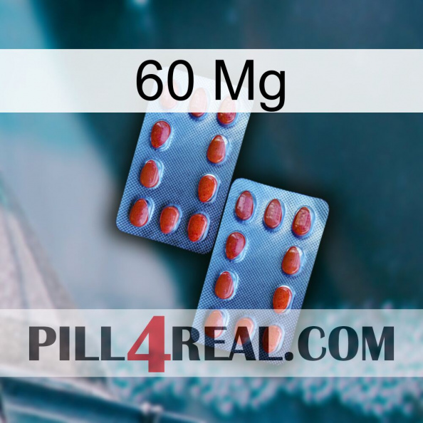 60 Mg 05.jpg